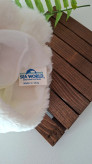 دستکش نمایشی خرس مارک sea word
