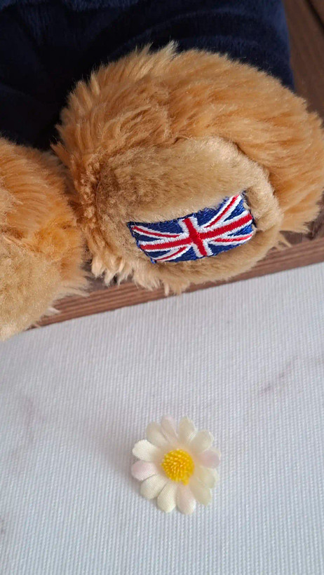 عروسک خرس اورجینال کلکسیونی مارک keel toys